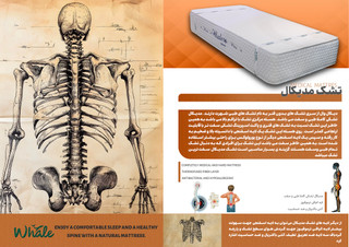 تشک وال مدیکال